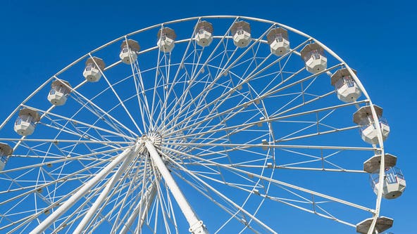 Brookfield Zoo offers Ferris Wheel rides in honor of 90th anniversary
