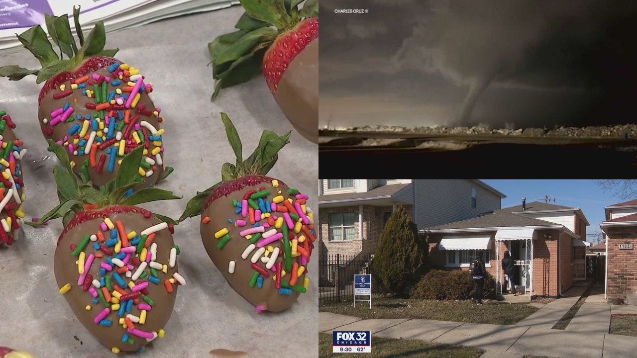 本周回顾：芝加哥面包店在全国范围内取得成功•龙卷风袭击芝加哥郊区•流浪汉占领