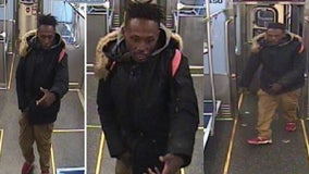 Man punched CTA train passenger in attempted armed robbery: police