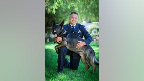 Illinois K9 officer injured while apprehending suspect who hit squad car, crashed stolen vehicle