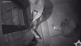 Video shows armed robbers responsible for over a dozen crimes in Chicago