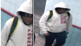Suspect allegedly robbed man of headphones on CTA Red Line train: police