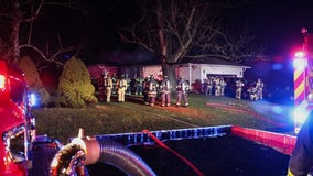 House fire in McHenry County leaves 2 people, pets dead