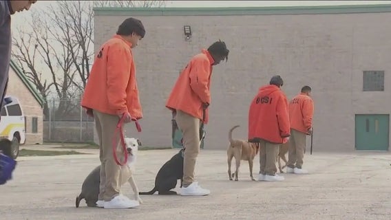 Cook County Jail expands program to save shelter dogs, aid detainees