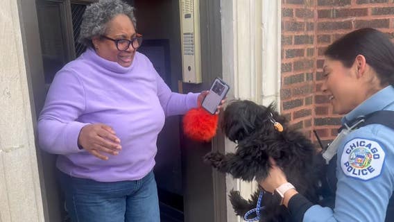 Chicago woman overjoyed as officers deliver long-lost dog: 'She was my comfort'