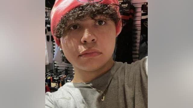 Missing Chicago teen found safe: police