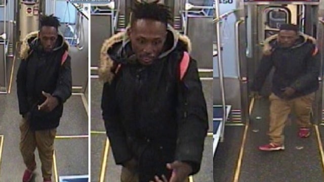 Man punched CTA train passenger in attempted armed robbery: police