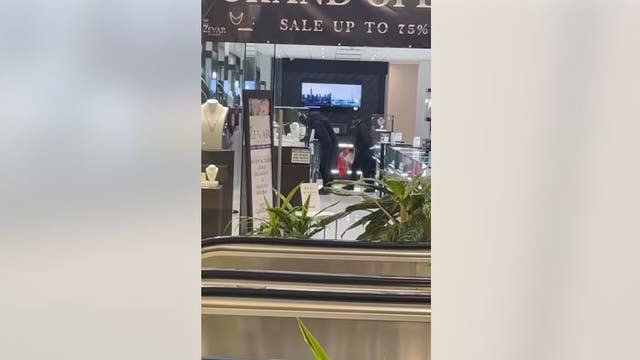 Police search for three men in Harlem Irving Plaza jewelry store robbery