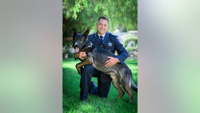 Illinois K9 officer injured while apprehending suspect who hit squad car, crashed stolen vehicle