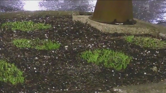 Severe storms pelt Chicago suburbs with rain, hail and wind