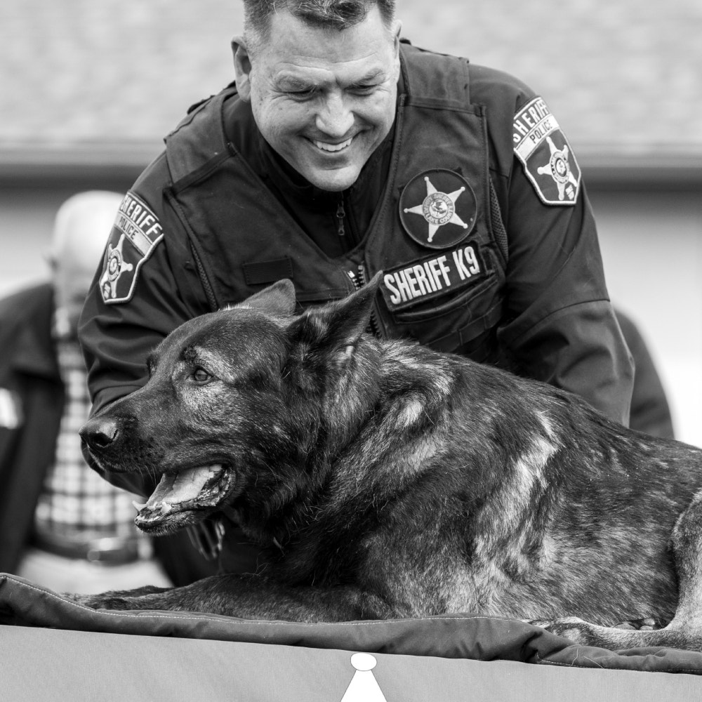 Son of late Lake County K-9 Dax joins sheriff's office, continuing his ...