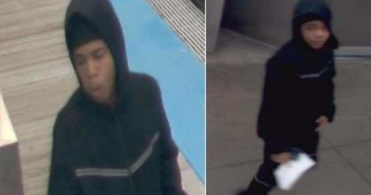 Chicago police seek suspect in CTA Green Line robbery | FOX 32 Chicago