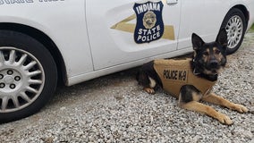 Indiana State Police K9 gifted new bulletproof vest