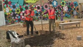 Little Village embraces Arbor Day with special tree planting event
