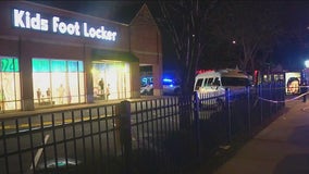 Security guard fatally shot outside Chatham Foot Locker store