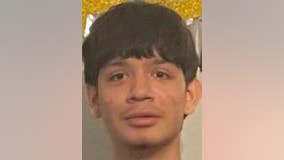 Boy, 14, reported missing from Albany Park