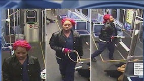 CTA Red Line crime: Woman who damaged windows with frying pan sought