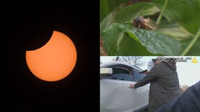 Week in Review: Solar eclipse in Chicago • Cicadas to arrive this spring • Video of police shootout released