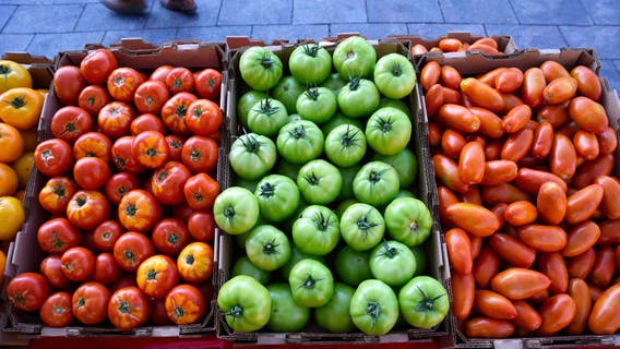 Ultimate guide to Chicago farmer's markets