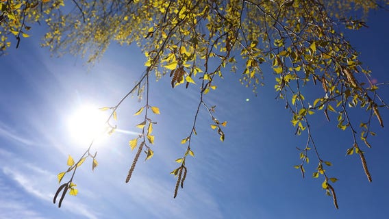 Here are the 20 worst US cities for seasonal allergies – and some of the best