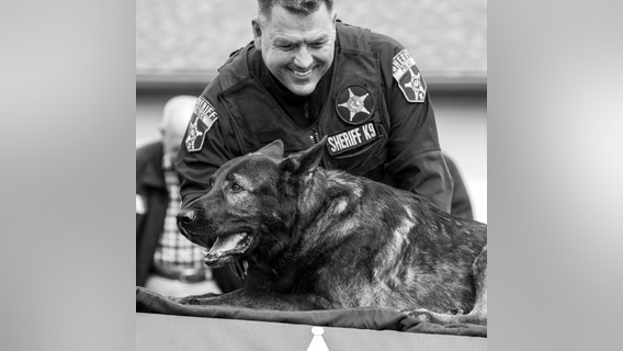 Beloved K9 Dax passes away just days after official retirement ceremony