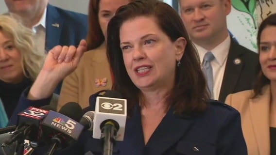 O'Neill Burke on tight Cook County State's Attorney race: 'When is this going to be over?'