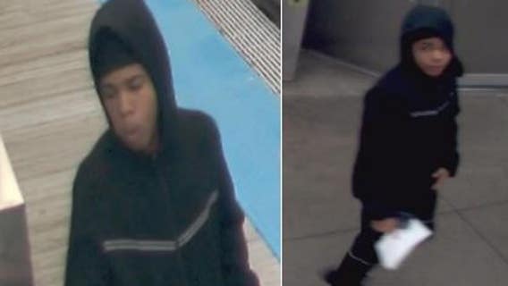 Chicago police seek suspect in CTA Green Line robbery