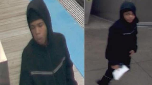 Chicago police seek suspect in CTA Green Line robbery