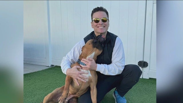 Meet Rennie: Suburban dog hopes to find forever home after 2 years in shelter