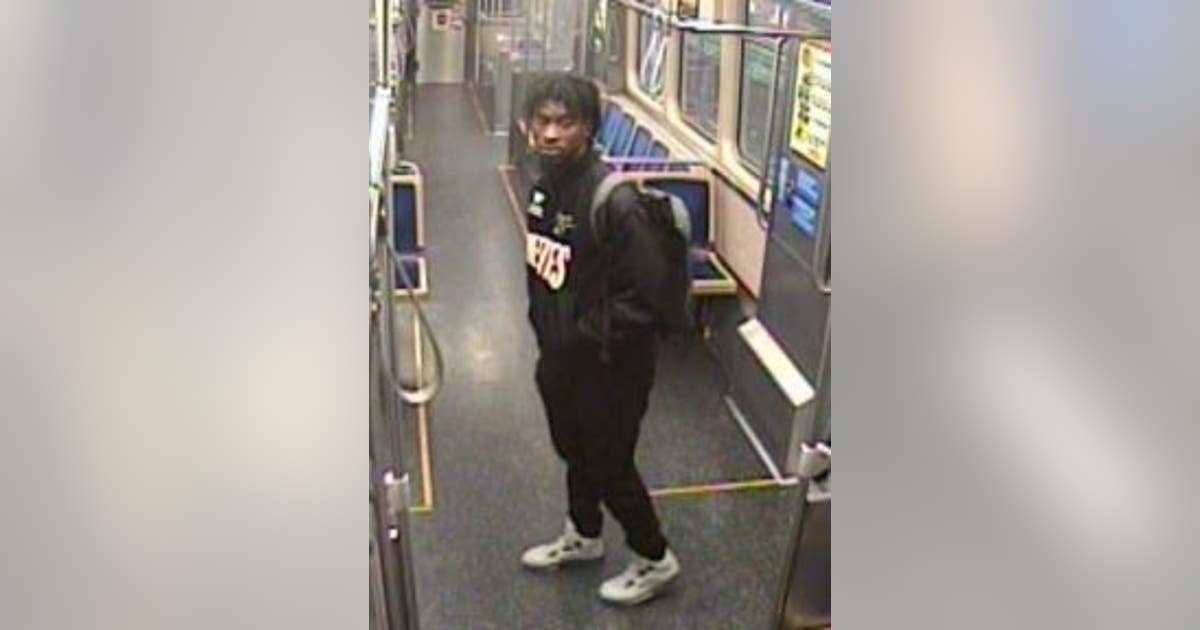 Man stole property from person on CTA Green Line train in Bronzeville ...