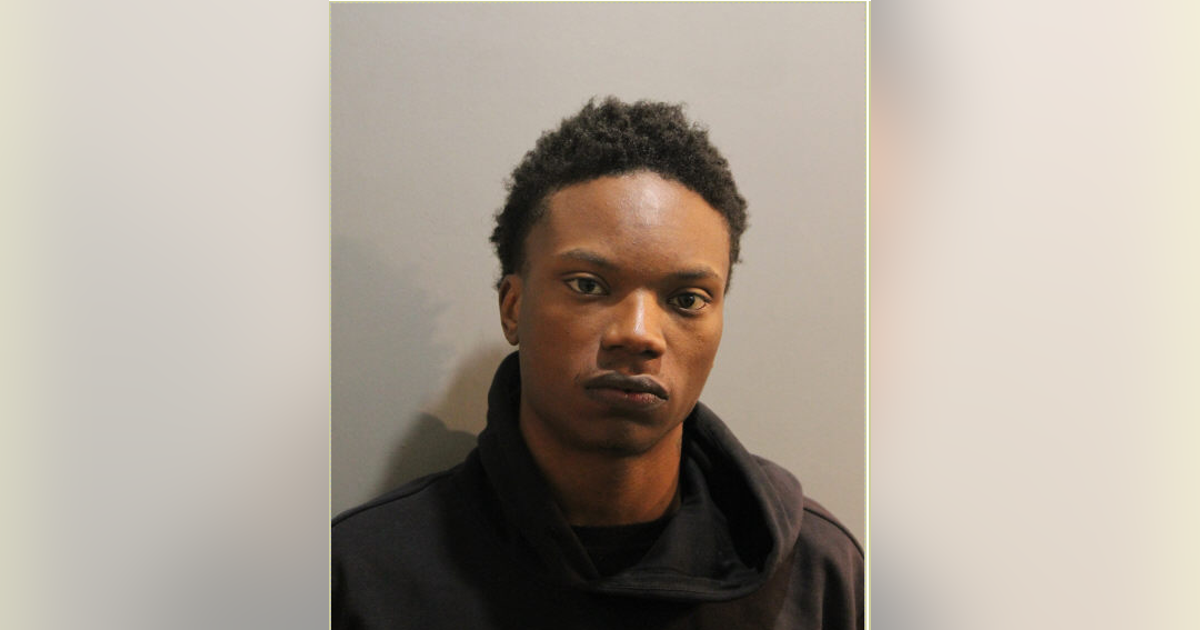 Chicago man allegedly robbed woman at gunpoint on CTA property on Near ...