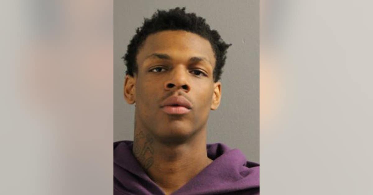 Chicago man charged with robbing woman in Austin neighborhood | FOX 32 ...