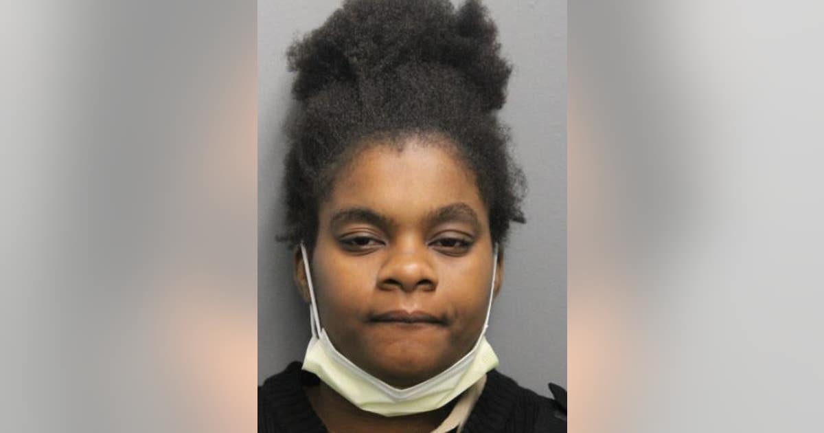 Chicago woman accused of carjacking man at gunpoint in Washington Park ...