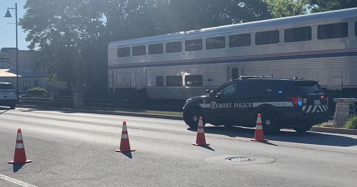 Woman, 47, dies after being struck by Amtrak train in Lemont: police ...