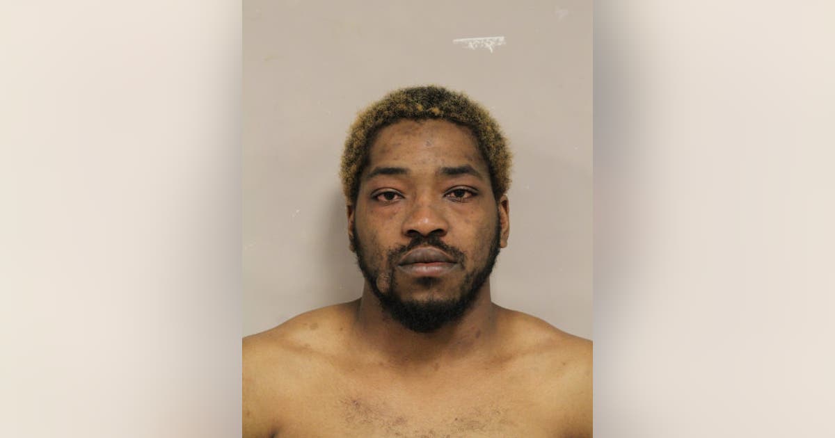 Cook County man allegedly tried to attack suspect accused of hitting ...