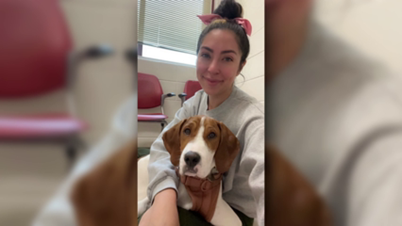 A woman who thought she had her dog euthanized in Maryland a year ago was stunned to see the same dog up for adoption a year later
