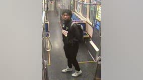 Man stole property from person on CTA Green Line train in Bronzeville: police