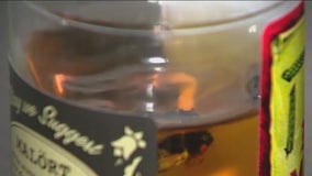Malort shots infused with cicadas: Lombard brewery gets creative with cicada emergence