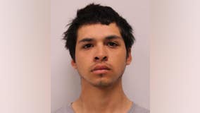 Teen charged with attempted murder in Mount Prospect cellphone assault; second suspect sought