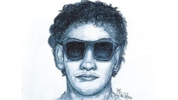 Police seek suspect who attacked woman in Cook County Forest Preserve