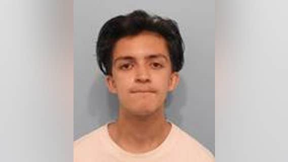 Naperville man broke into vehicle, stole garage door opener and burglarized home: police