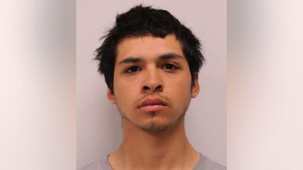 Teen charged with attempted murder in Mount Prospect cellphone assault; second suspect sought