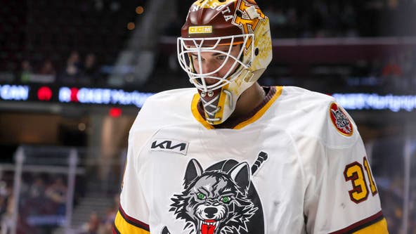 Chicago Wolves announce partnership with NHL's Carolina Hurricanes