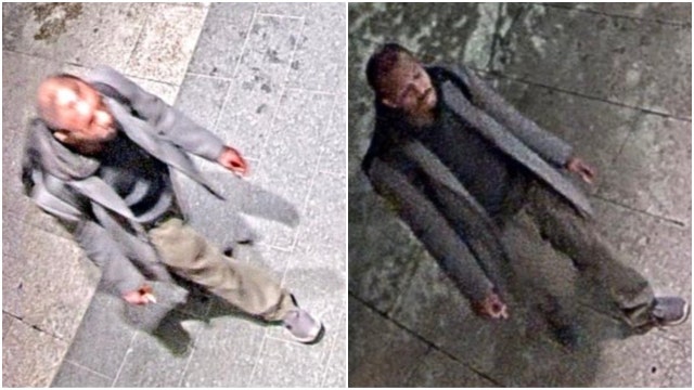 Woman sexually abused near Mag Mile in downtown Chicago, suspect sought