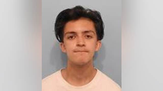 Naperville man broke into vehicle, stole garage door opener and burglarized home: police