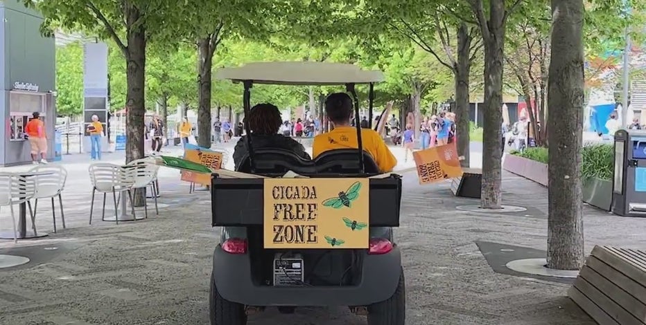 Navy Pier declared cicada-free zone amidst ongoing invasion frenzy