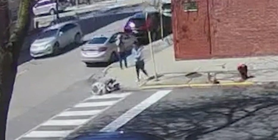 'Why?!' COPA releases video of off-duty Chicago cop shooting dog in head