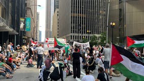 11 pro-Palestinian protesters arrested for blocking downtown street: police