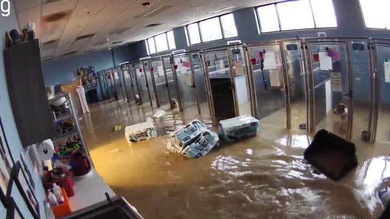 Animals rescued at Wheeling shelter after quick action from waste pickup worker