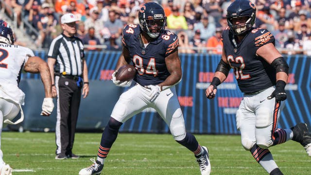 Why adding 19-year veteran Marcedes Lewis is significant for the Chicago Bears